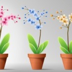 1279281_flowers_in_pot_6[1]