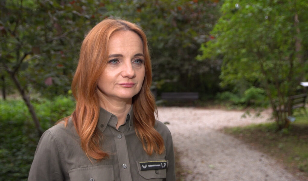 Lasy Państwowe wywiozły w zeszłym roku z lasów 820 tirów śmieci. Kosztowało to 34 mln zł